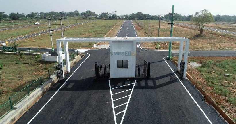 Gravity Diya Greens Cover Image